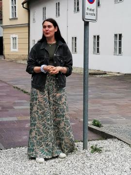 Poletna muzejska noč